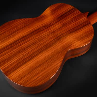 1988 Asturias AST60 - Natural | Vintage Japan Handmade Classical Guitar Cedar Rosewood | Case image 16