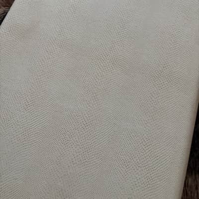 Fender Limited Edition G&G Legacy Series Strat / Tele USA Hard Case - Snake Skin White image 5