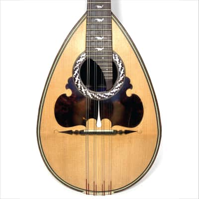 Concert Mandolin Raffaele Calace (Nicola Maria Calace) from 1902 image 1