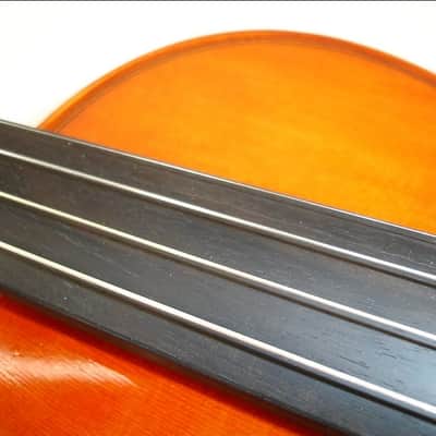 Eastman VL100 4/4 Student Violin Outfit with Bow, Case & Rosin image 5