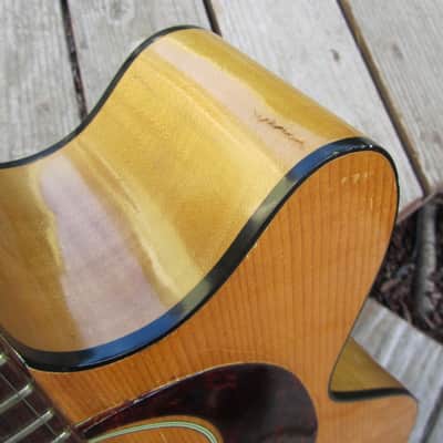 Harptone S-6NC Sultan guitar Sam Koontz vintage 1960s 1970s Vintage arched back cutaway image 3