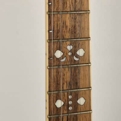 Fender FB-54 5 String Banjo With K&K Pickup and Hard Shell Case image 6