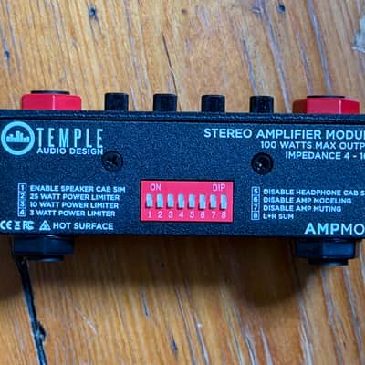 Temple Audio Amp Mod 100W image 2