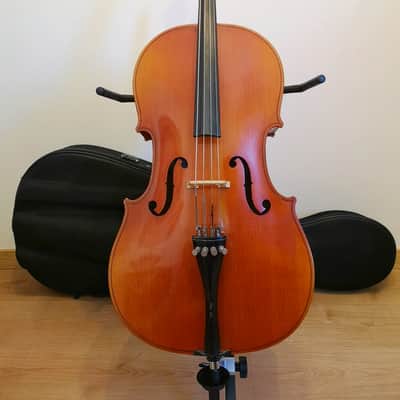 Cello Josef Jan Dvorak (Czechoslovakia, mid-80s) with a Chellococoon case image 1