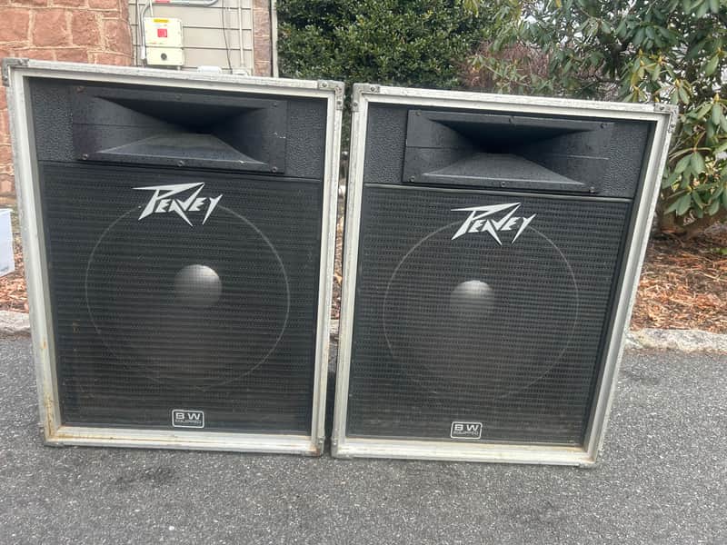 Peavey 115 international transducer Mid-90’s - Black image 1