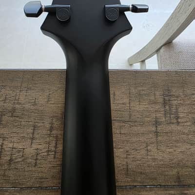 PRS Dustie Waring Signature CE 24 Hardtail 2023 image 13