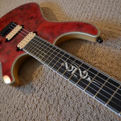 Mayones Regius 25th Anniversary image 8