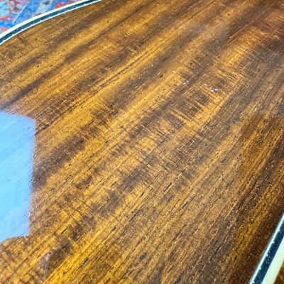 Yamaha L-31A Late Model All Solid Woods *JACARANDA* 1984 image 23