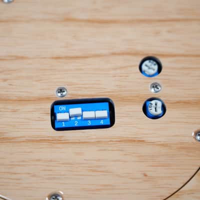 Sadowsky MasterBuilt 24-Fret Single Cut Bass, Swamp Ash Body, 5-String - Natural Transparent High Polish image 3