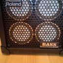 Roland Micro Cube Bass RX 2x2.5-Watt 4x4" Bass Combo 2008 - Present - Black