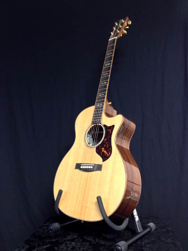 2011 Martin GPCPA1 Performing Artist Series Acoustic Guitar - FLOOR MODEL image 1