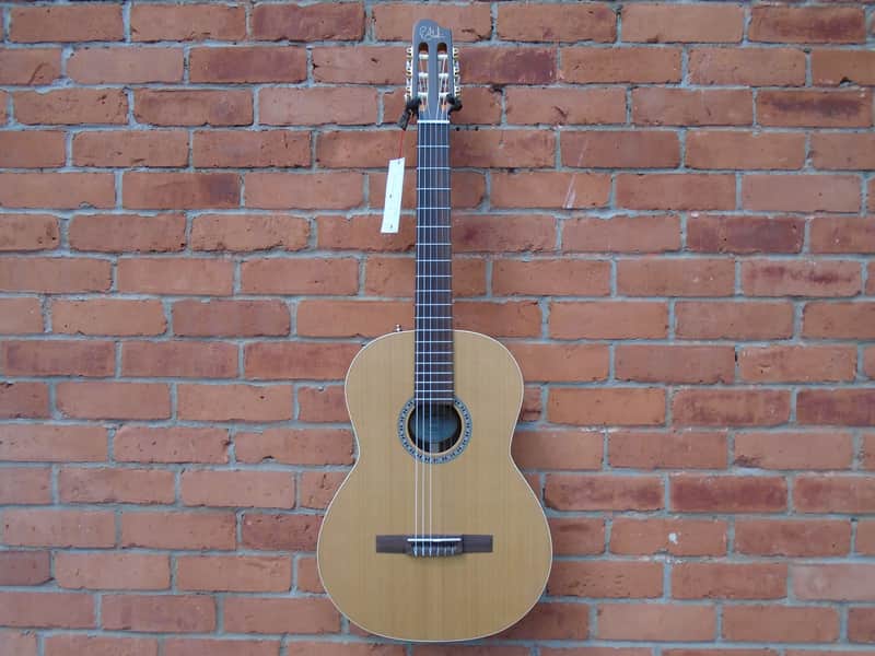 Godin Presentation  Classical SF Guitar w/bag image 1