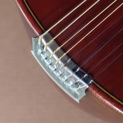 Rare Schwarzer Model 120 "Echo" bowl back mandolin Circa 1900 image 11