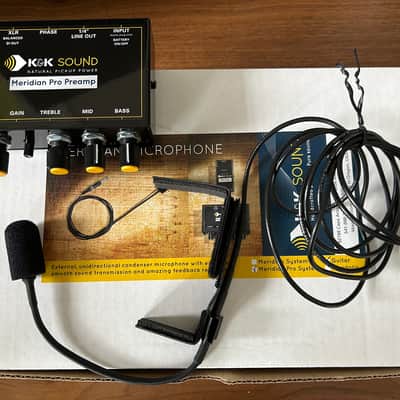 K&K Sound Meridian Microphone 2020s image 1