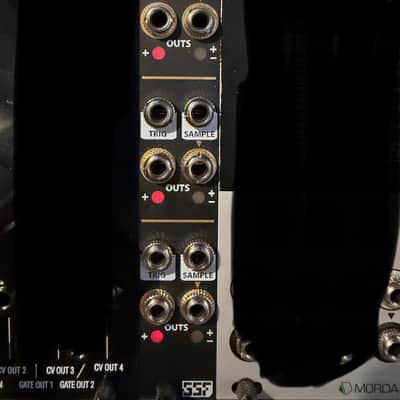 Steady State Fate DivKid RND STEP 2010s - Black image 2