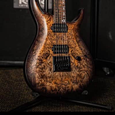 Kiesel AJ6E Andy James Crescent Signature 2021 Burled Maple image 3