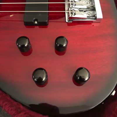 Michael Dolan Doublecut Style Bass Lefty image 4