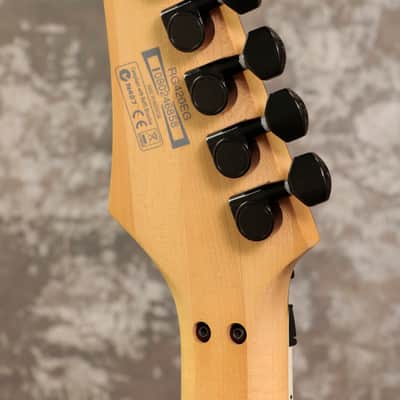 Ibanez Rg420EG Spider Black -Free Shipping* image 7