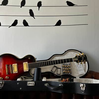 Gibson Les Paul Supreme 2008 - Autumn Sunburst image 14