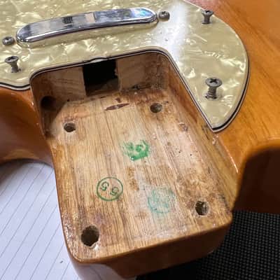 Fender Telecaster Thinline 1969 - 1971 - Natural image 19