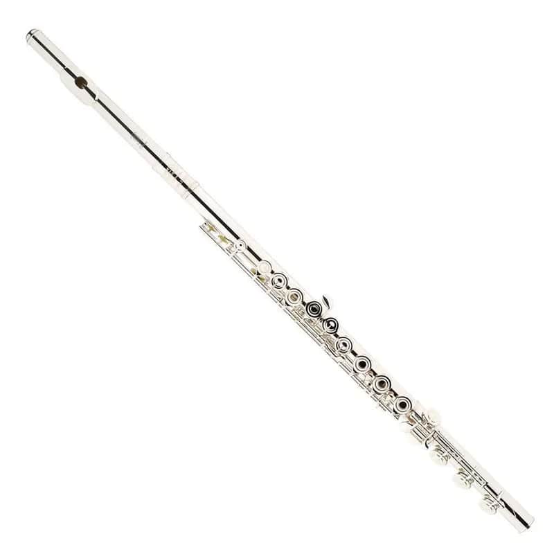 Amadeus by Haynes AF580 Flute image 1