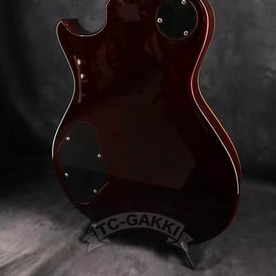 Paul Reed Smith SE 245 STANDARD image 10