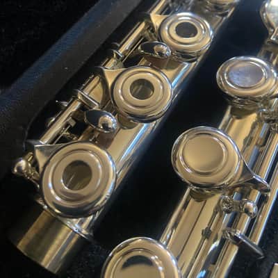 Haynes Giarindinelli GFL 10 mid 2000s - Silver plated image 3