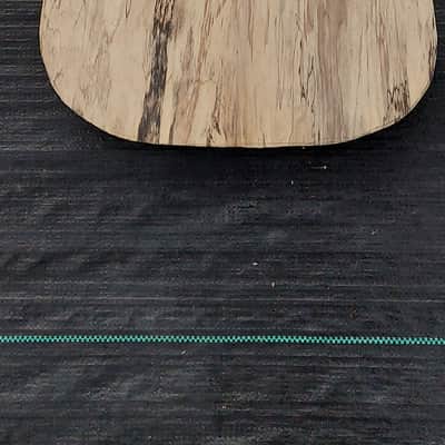 USA Double Cut Tele Guitar Body Spalt maple Black walnut Body Project  U Fix It image 2