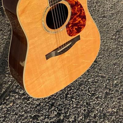 Eastman AC420 Bearclaw image 6