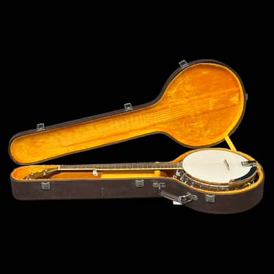 Epiphone MB-100 5 String Resonator Banjo, Hard Case image 9