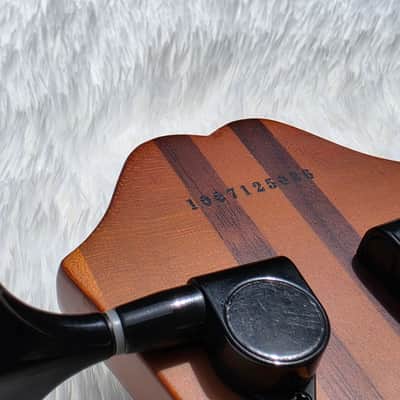 2010 Epiphone Zenith Bass Guitar - Mint - Gorgeous Flame Maple Top image 13