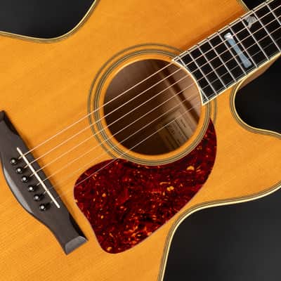 1989 Santa Cruz F-131 - Natural | USA Vintage Small Jumbo F Model Acoustic Guitar Ex John Pearse Cutaway Pickup 46.5mm Bone Nut | CoA OHSC image 19