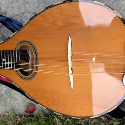 Taisamlu A-Shape Mandolin with strap and soft case.  Fresh set up.  New strings.  Nut and bridge saddle are bone.  Plays nicely.  Sounds great.  Its loud! image 4