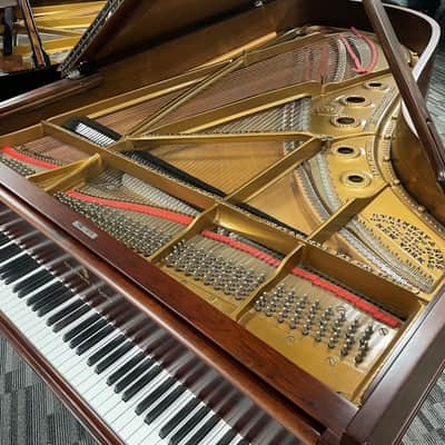 Steinway Model B 6'11" Grand Piano 1888 (Restored) - Satin Brazilian Rosewood image 13