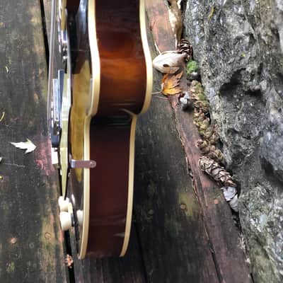 1965 Hofner Club 500/2 Sunburst image 9