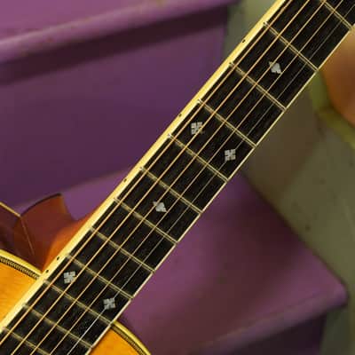 2008 Gallagher G-70M 12-Fret Madagascar Rosewood Dreadnought Guitar (VIDEO! Ready to Go) image 4