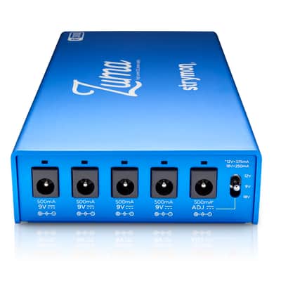 Strymon Zuma R300 image 24