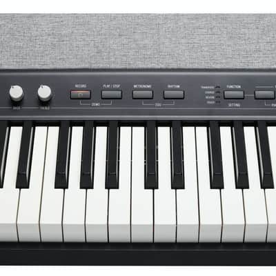 Kurzweil KAP1 Black image 7