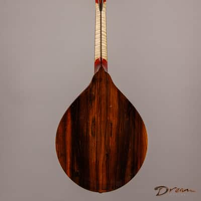 2014 Condino A style Mandolin, Brazilian Rosewood/Adirondack Spruce image 2
