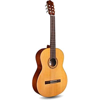 Immagine Cordoba C9 Parlor Nylon String Acoustic Guitar Natural w/ Case - 5