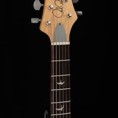 PRS SE Silver Sky Dragon Fruit image 8