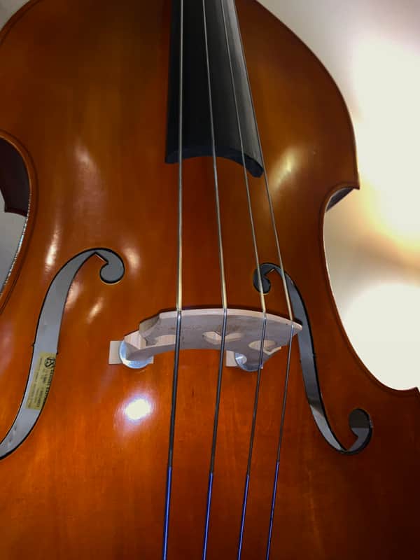 Samuel Eastman No. VB80, Upright Bass 2013 image 1