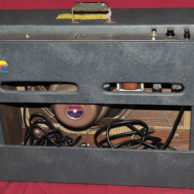 Epiphone Professional EA-7P Outfit 1963 image 23