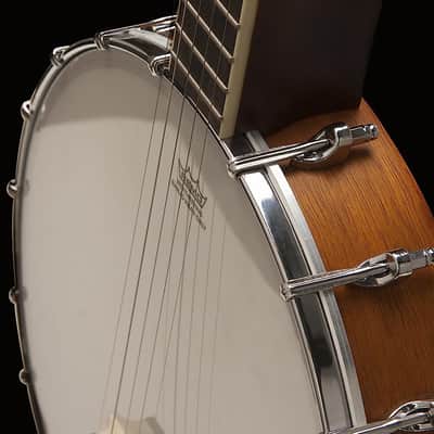 Washburn B7 5-string Open Back Banjo image 2