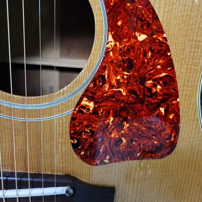 Video Demo Vintage 1965 Gibson J50 Dreadnought New Strings Pro Setup Hard Shell Case image 5