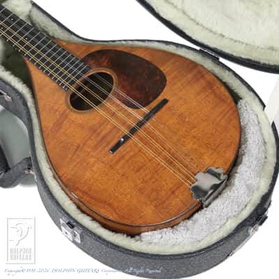 C.F.Martin Style-AK 1920[Pre-Owned] image 15