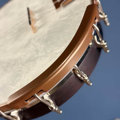 Custom Deering Artisan Goodtime Special 19-Fret Tenor Openback Banjo image 15