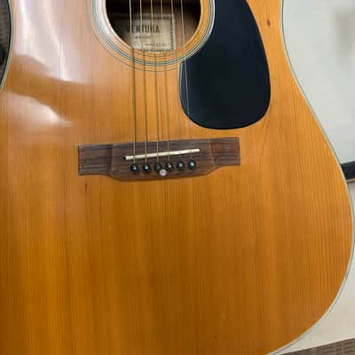 Ventura Bruno V-42 mid-1970's Natural Finish image 4