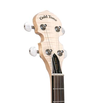 Gold Tone CC-IT: Cripple Creek Irish Tenor Banjo with Bag image 6