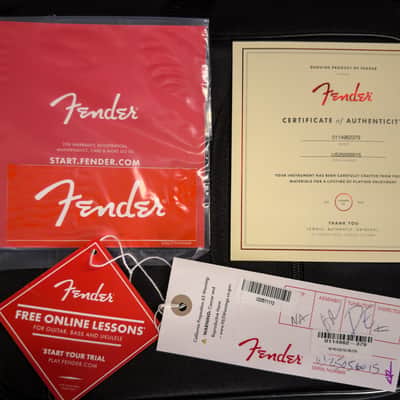 Fender American Professional Classic Telecaster Maple Fingerboard Faded Lake Placid Blue (015) image 8